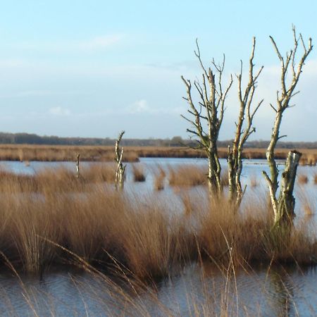Bitter En Zoet Hotel Veenhuizen Luaran gambar